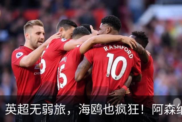 英超无弱旅，海鸥也疯狂！阿森纳3球惨败，拉亚成了远射背景板